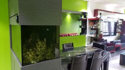 Blk 213A Punggol Waves (Punggol), HDB 4 Rooms #570491661